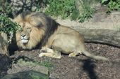 Nutzerbilder Zoologischer Garten Halle GmbH Zentrale