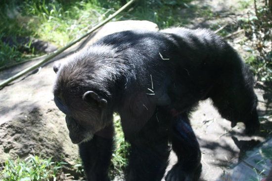 Nutzerbilder Zoologischer Garten Halle GmbH Zentrale