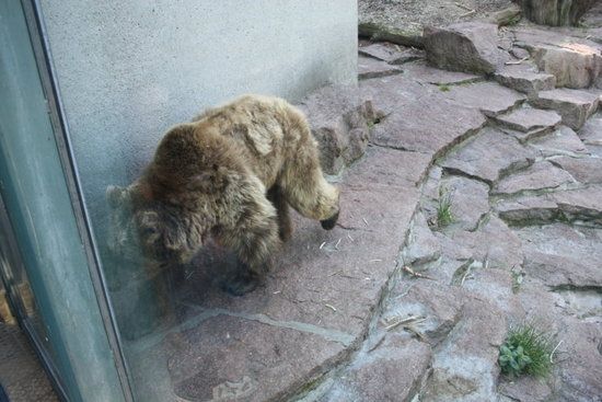 Nutzerbilder Zoologischer Garten Halle GmbH Zentrale