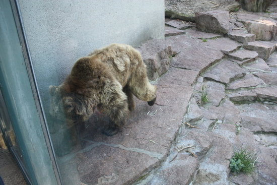 Bild 21 Zoologischer Garten Halle GmbH in Halle