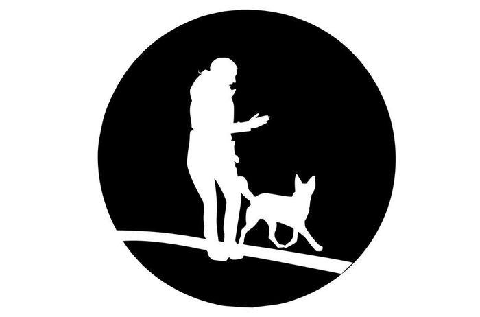 Yve`s Hundewelt Hundetraining für Dortmund und Umgebung