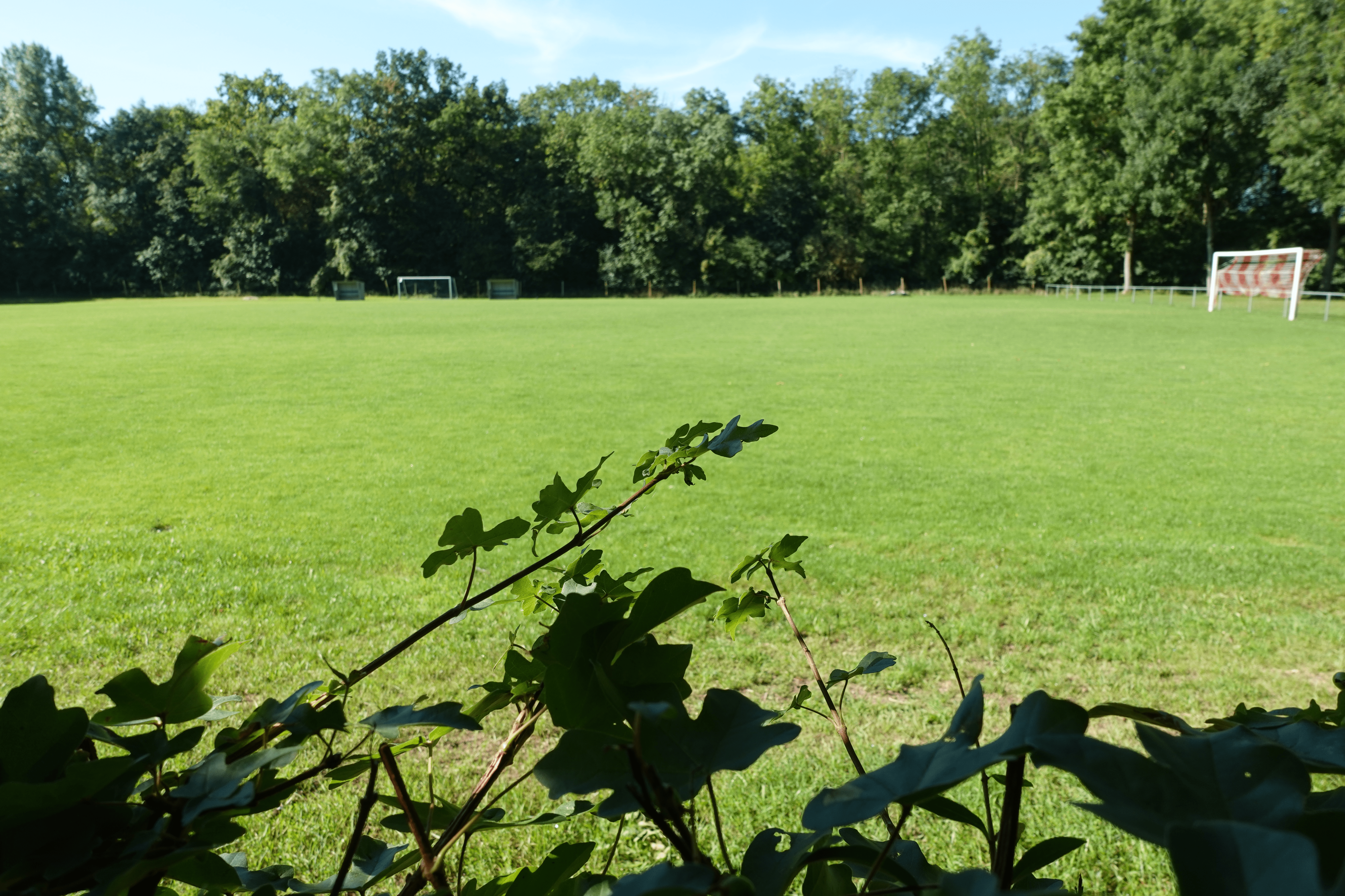 Unser Fußballplatz für große und kleine Kicker