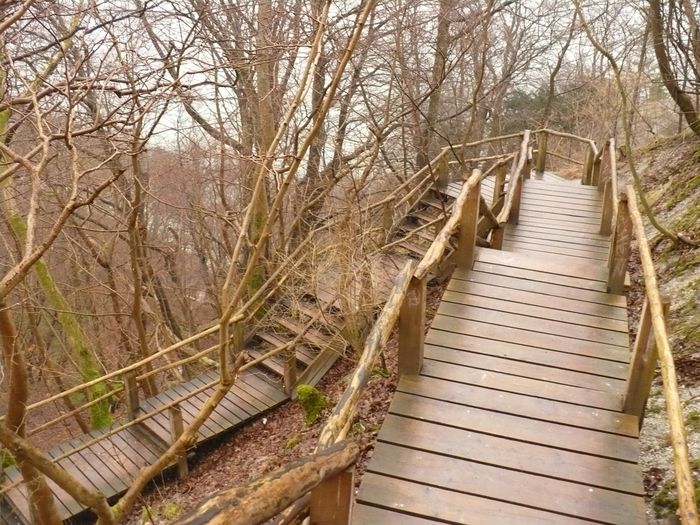 Nationalparkamt Vorpommern Nationalpark Jasmund