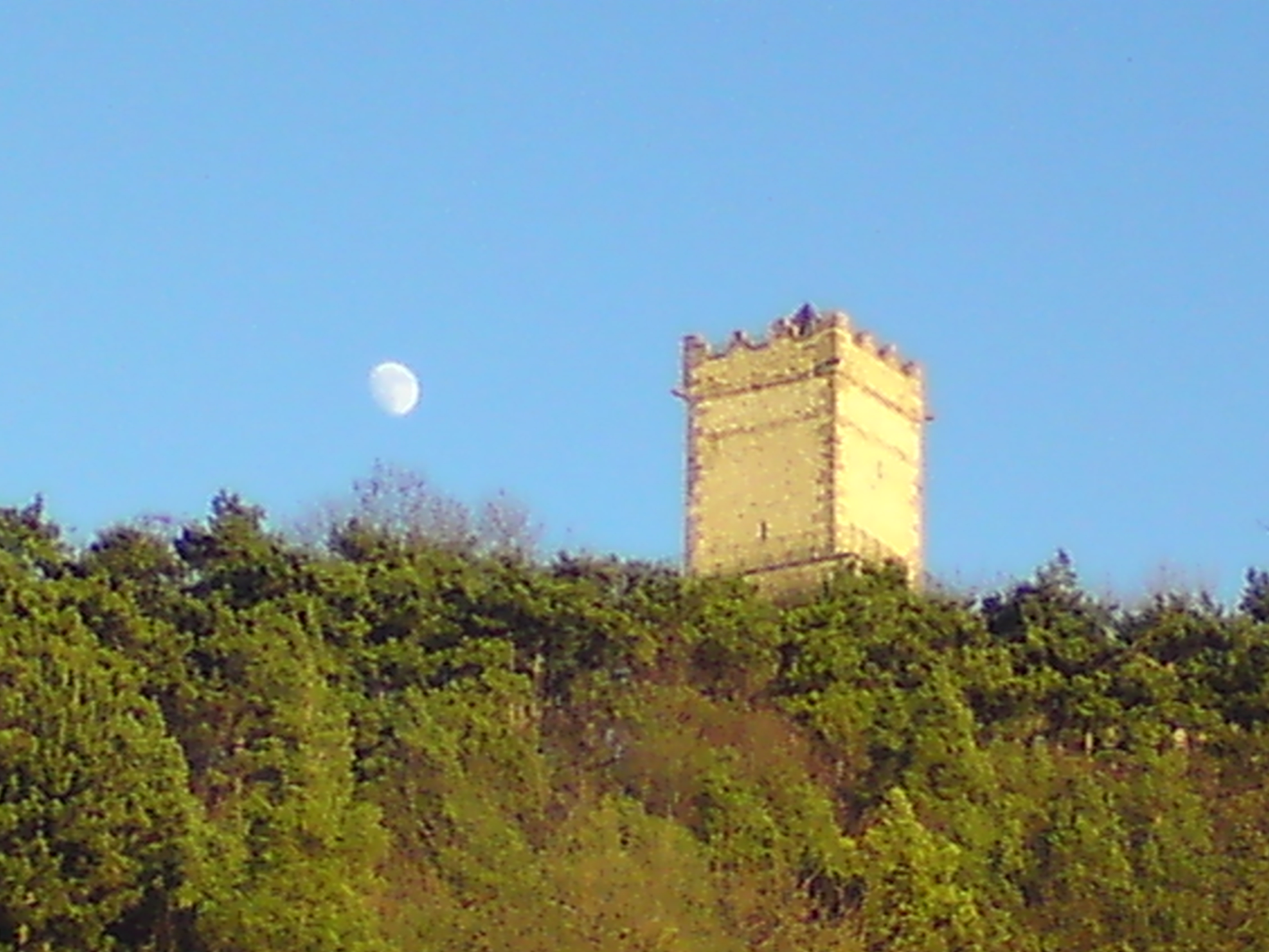 Bild 2 Burgschänke auf der Eckartsburg in Eckartsberga