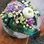 Blumengschäft Stadtgarten Mandy Rahming Blumenladen in Borna