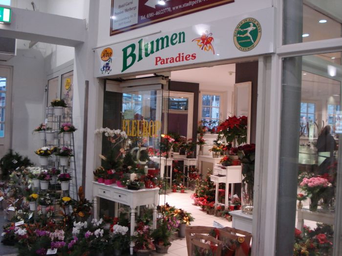 Aaron Blumenparadies Peter GmbH