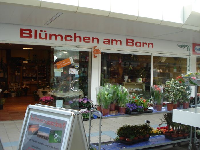 Blümchen am Born