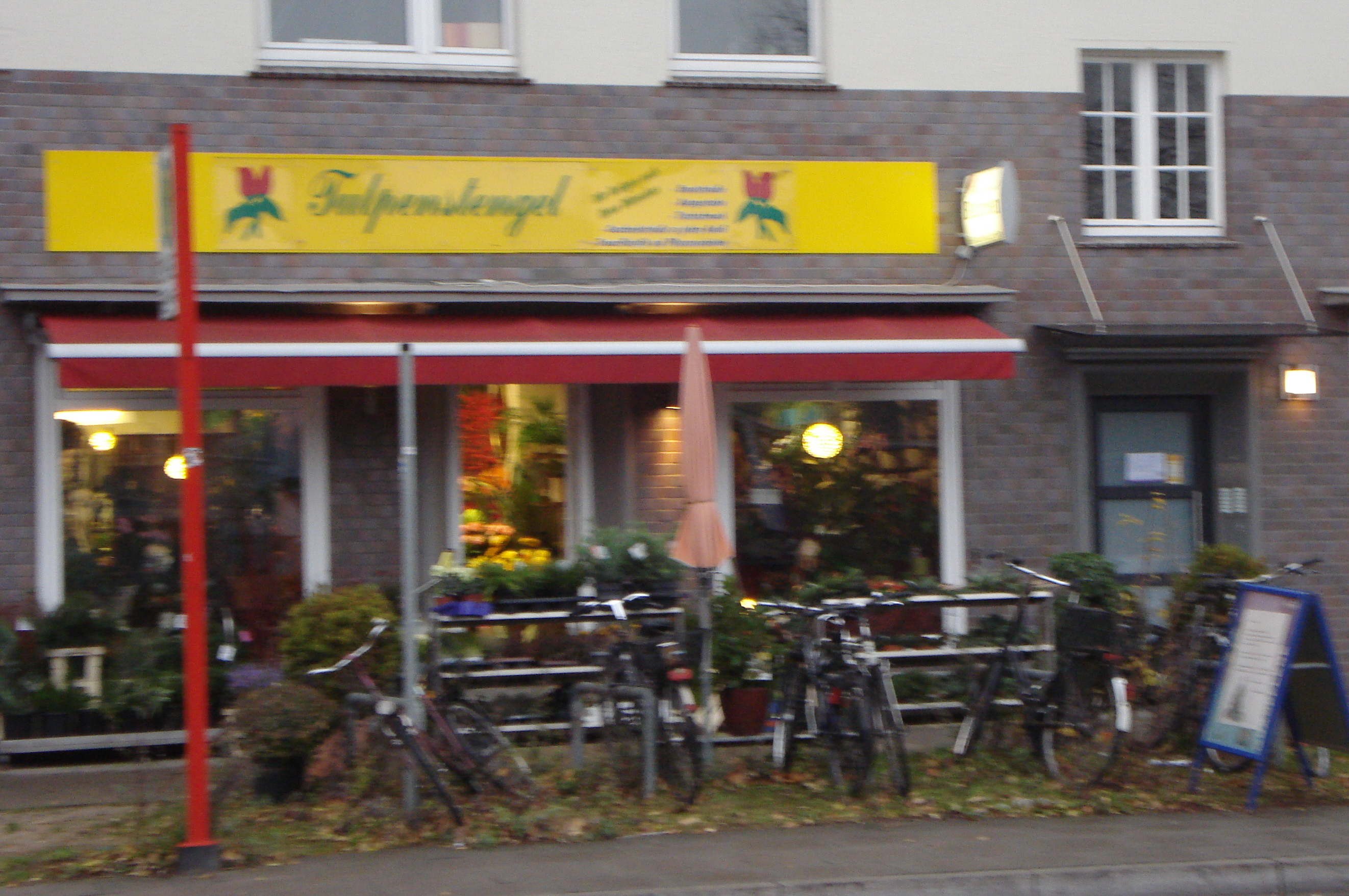 Bild 1 "Tulpenstengel" Blumenhaus in Hamburg