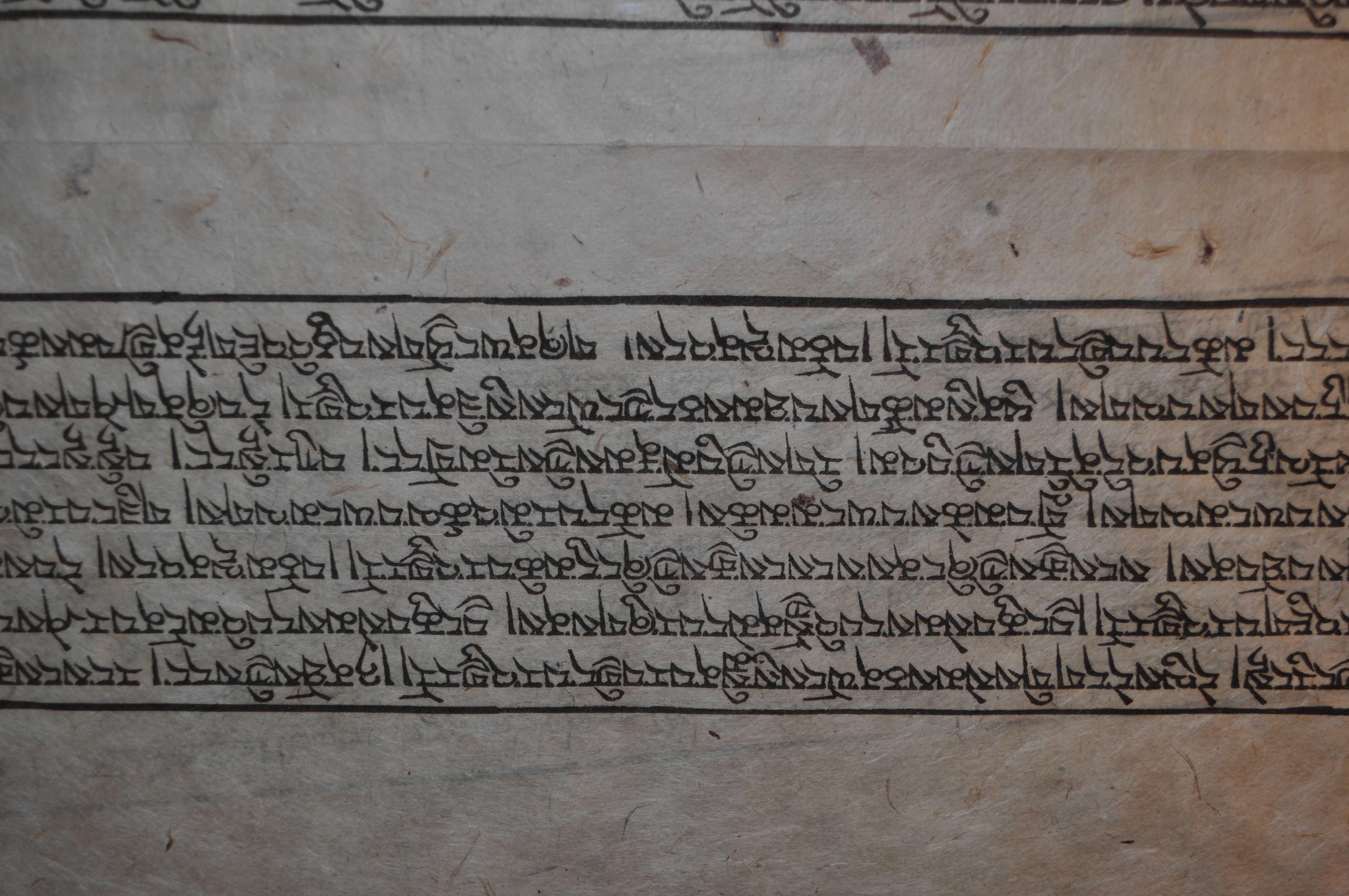 Auszug aus dem &quot;Schätzchen&quot; - die Schrift ist DZONKA, die Sprache der Burgen (Dzongs)