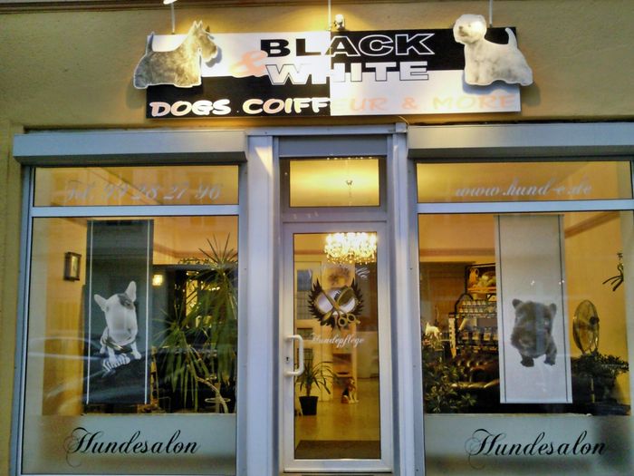 Nutzerbilder BLACK & WHITE Dogs Coiffeur and More Hundesalon