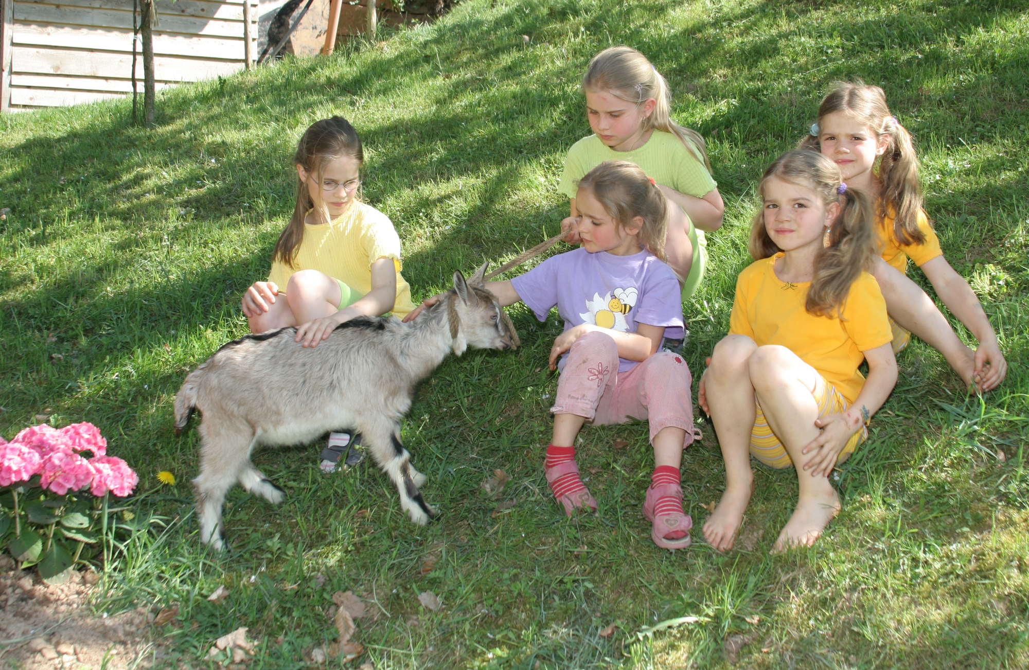 Mit Kindern den Bauernhof entdecken

Ferien auf dem Bauernhof -  auf dem Hinterbauer Hof erleben Sie das Leben auf einem Bauernhof ganz authentisch. Sie können mit Ihren Kindern Schafe füttern, Ziegen melken oder mit dem Trecker auf das Feld fahren. Wenn Sie mit Ihren Kindern verreisen und Ihnen zeigen möchten, wie das Leben auf dem Land abläuft, dann ist ein Urlaub auf dem Bauernhof genau das Richtige!
