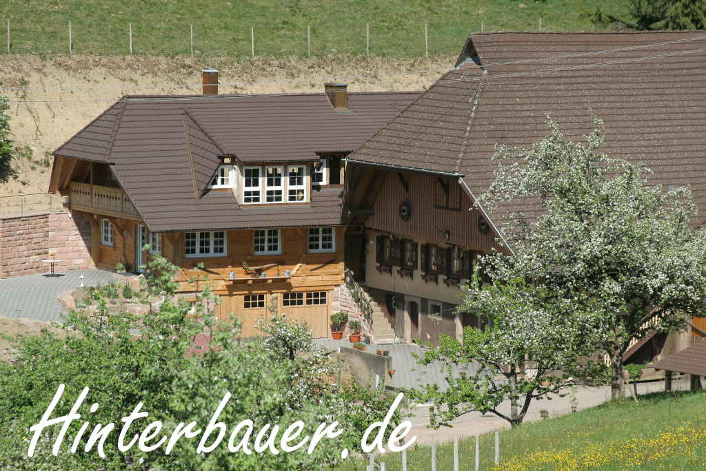 Bild 3 Lehmann in Oberharmersbach