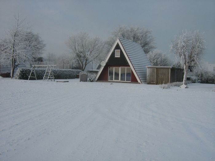 Winter 2011/2011