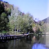 Helmbachweiher in Elmstein