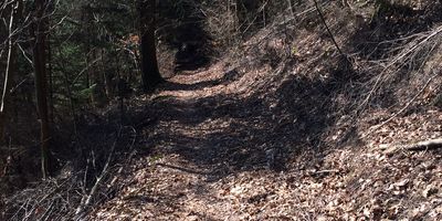 Pfälzer Hüttensteig Prädikatswanderweg in Lambrecht in der Pfalz