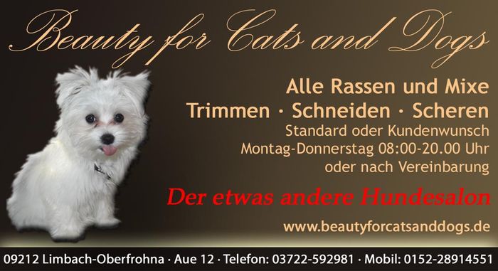 Nutzerbilder Waldenburger Doreen Beauty For Cats And Dogs Hundesalon