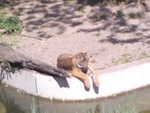 Nutzerbilder Zoologisch-Botanischer Garten Wilhelma