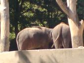 Nutzerbilder Zoologisch-Botanischer Garten Wilhelma