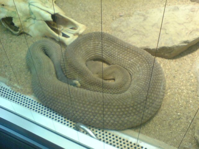 Nutzerbilder Zoologisch-Botanischer Garten Wilhelma