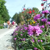 Landensgartenschau Reichenbachim Vogtland 2009 gGmbH in Reichenbach im Vogtland