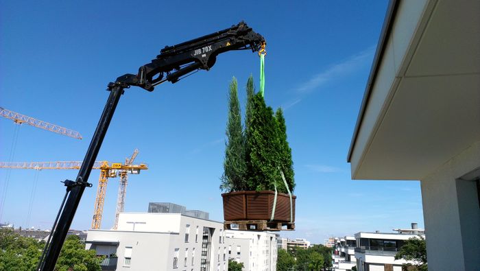 Nutzerbilder Bisle Rainer Gärtnerei