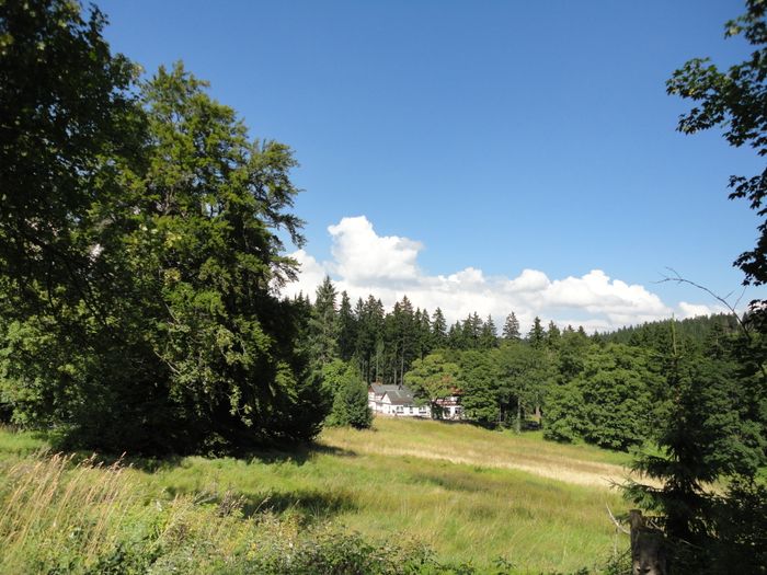 Obere Schweizerhütte - eine Oase der Ruhe !