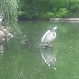 Zoo Leipzig in Leipzig