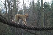 Nutzerbilder Tierpark Gera Waldzoo