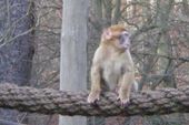 Nutzerbilder Tierpark Gera Waldzoo