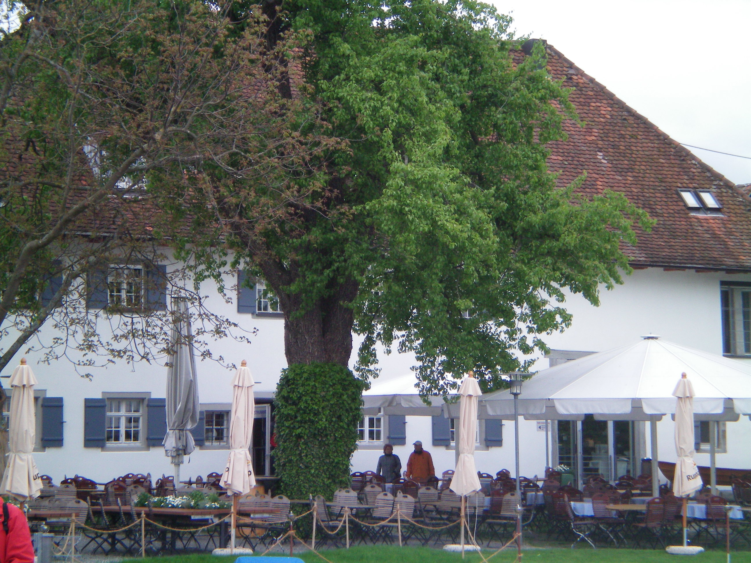 Bild 1 Pilgerhof-Rebmannshof in Uhldingen-Mühlhofen