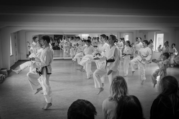 Fenger Taekwon-Do Kiel