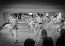 Bild zu Fenger Taekwon-Do Kiel