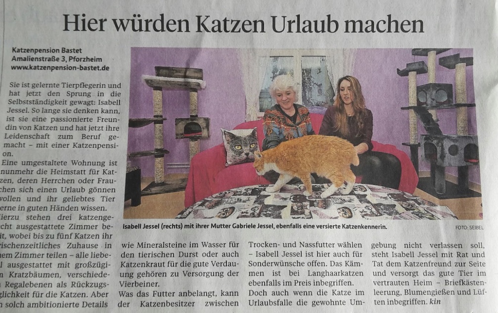 Bild 1 Katzenpension Bastet in Pforzheim