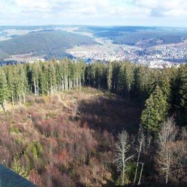 Blick auf Neustadt vom Turm aus