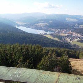 Blick vom Hochfirstturm auf den Titisee