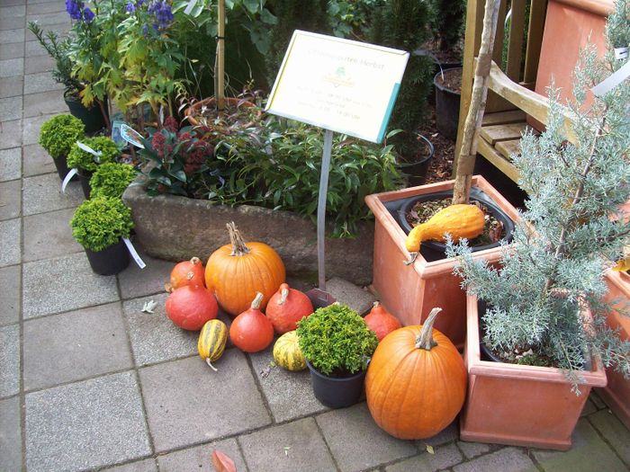 Nutzerbilder Brossmer Frank Baumschule