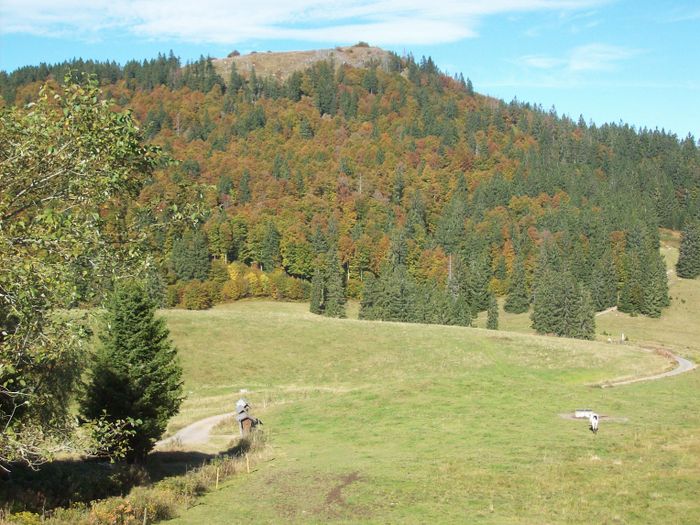 Blick von der Krunkelbachhütte auf das Herzogenhorn