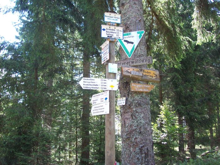 Nutzerbilder Berggasthof Gisiboden Inh. Wolfgang Trefzer Gaststätte