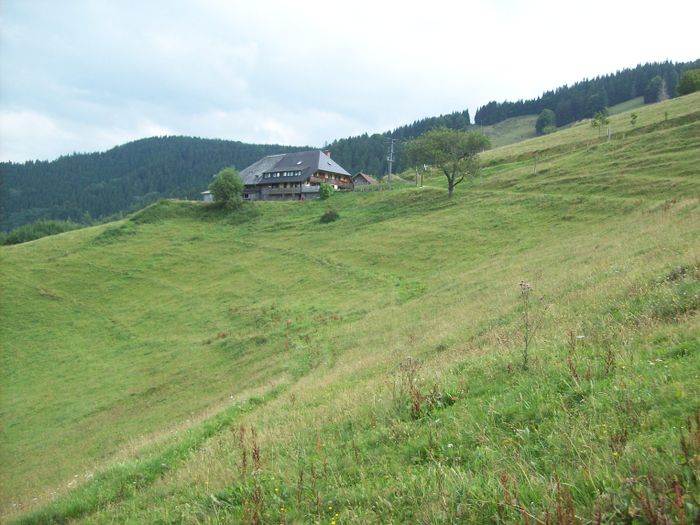 Berggasthaus Höfener Hütte - Anja Speck