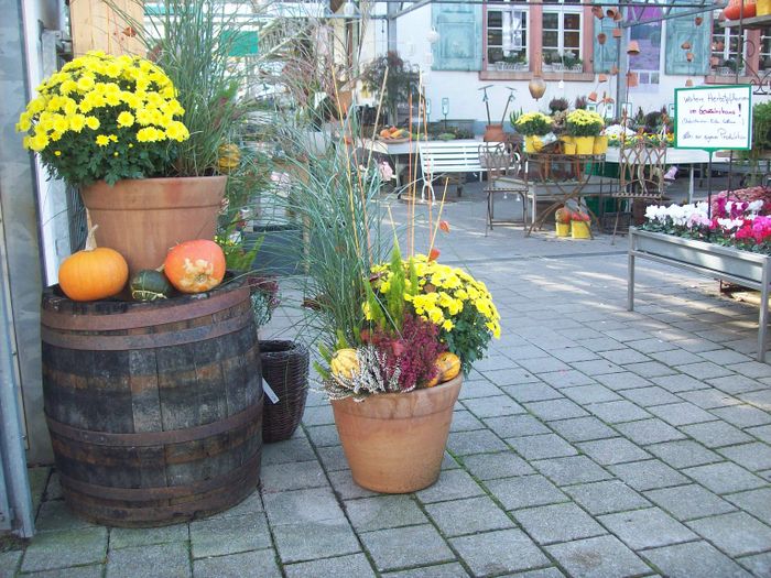 Nutzerbilder Rombach Blumengeschäft