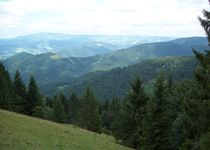 Bild zu Hinterwaldkopf-Hütte