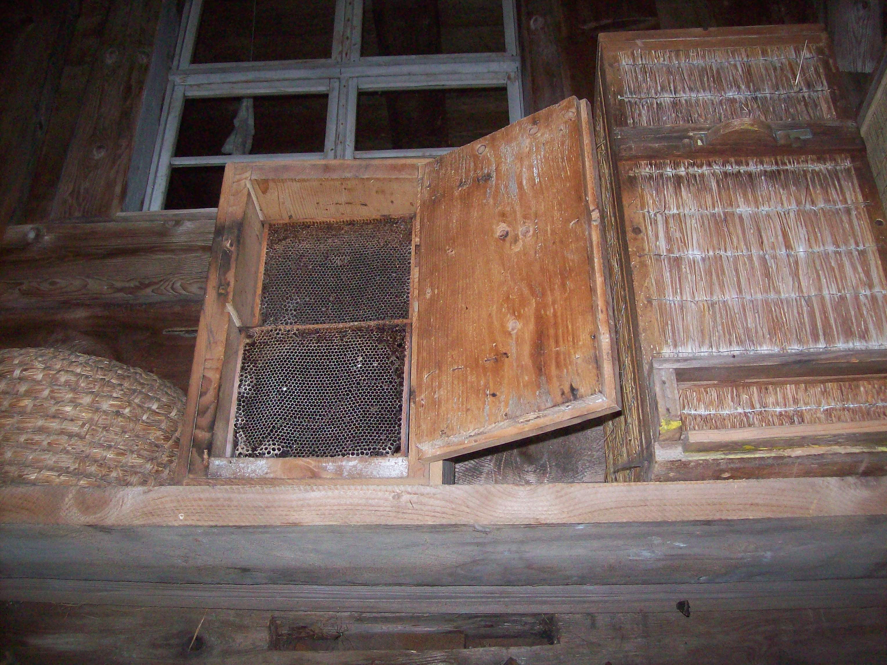 alte Bienenk&auml;sten mit Waben
