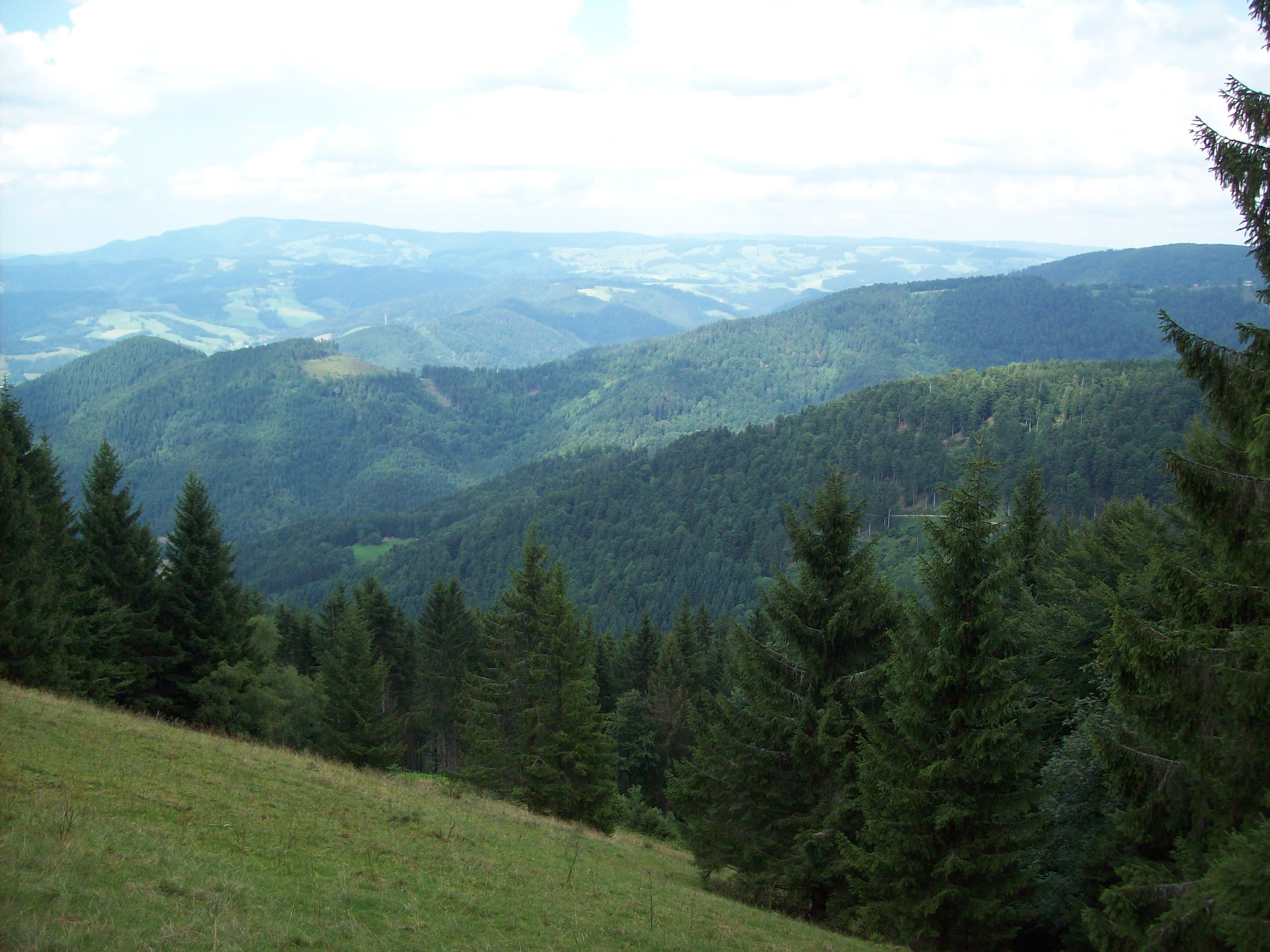 Blick von der Terrasse auf die umliegenden Schwarzwaldberge