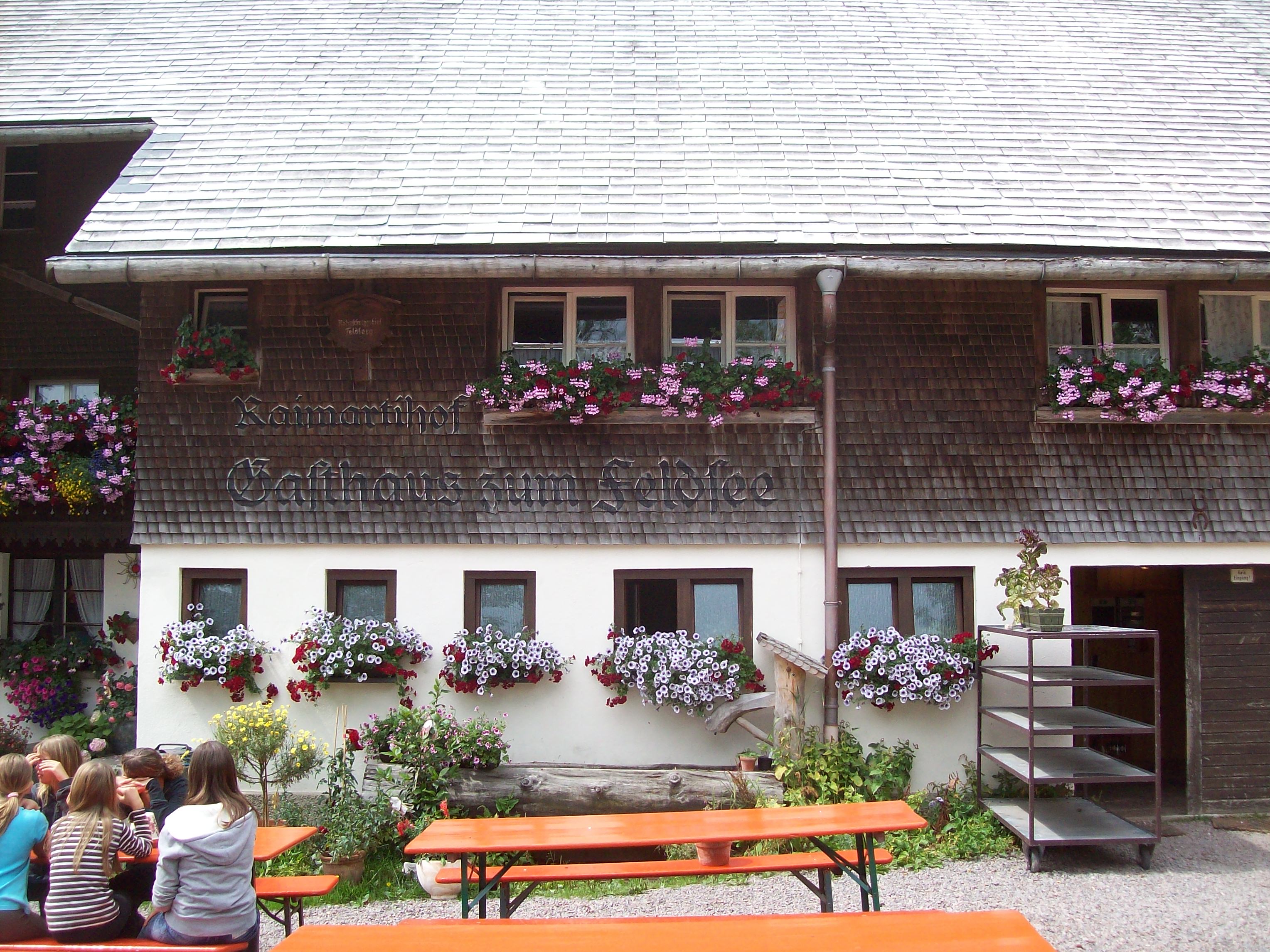 Bild 5 Naturfreundehaus Feldberg in Feldberg (Schwarzwald)