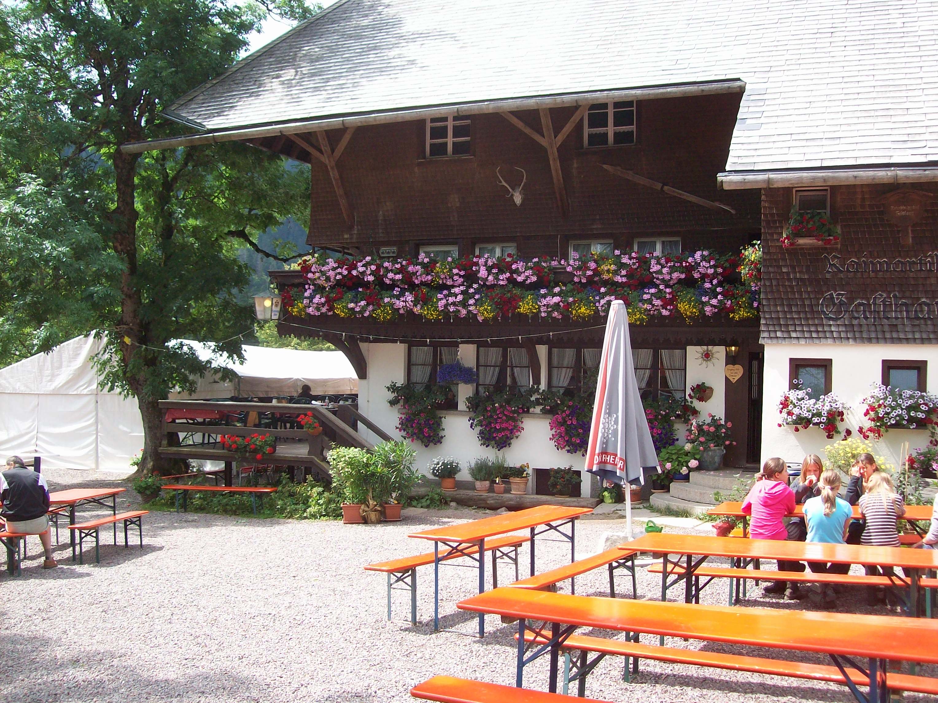 Bild 6 Naturfreundehaus Feldberg in Feldberg (Schwarzwald)