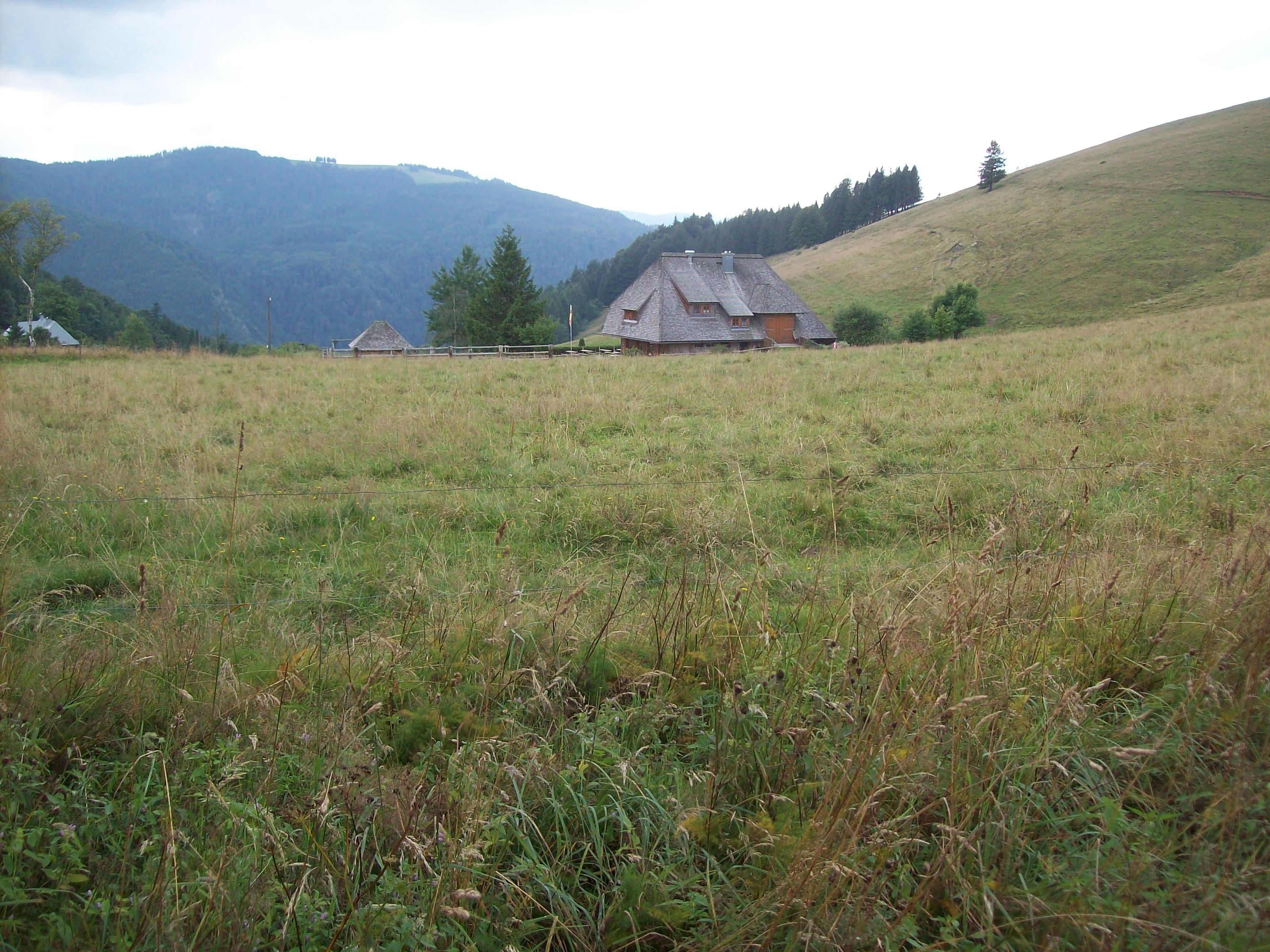 Bild 4 Hinterwaldkopf-Hütte in Oberried