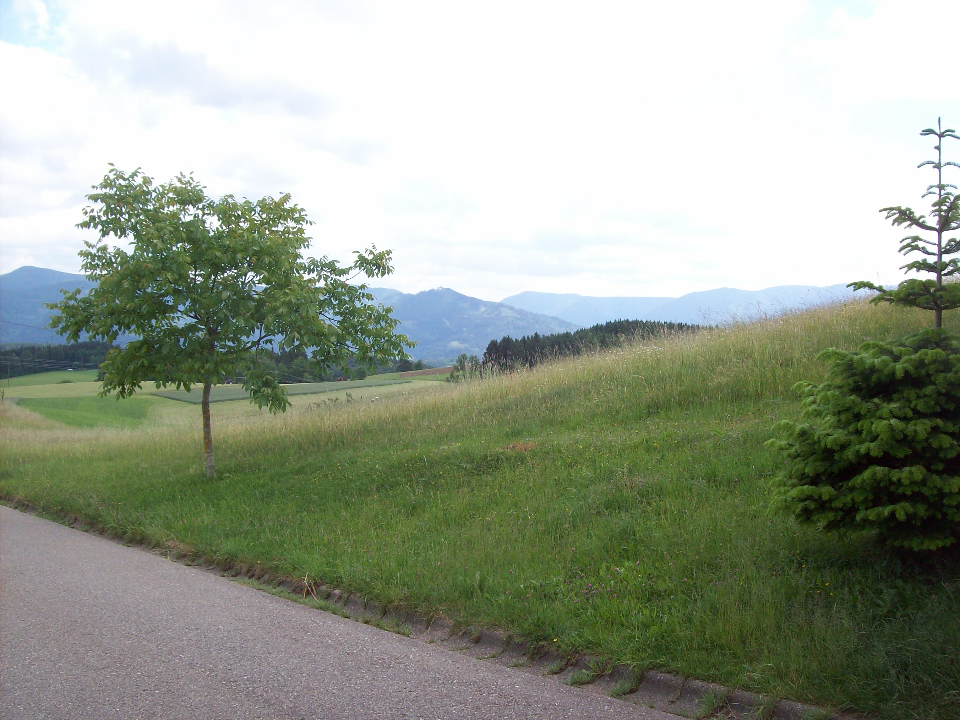Vom Bäreneckle hat man eine tolle Sicht auf die umliegenden Schwarzwaldberg