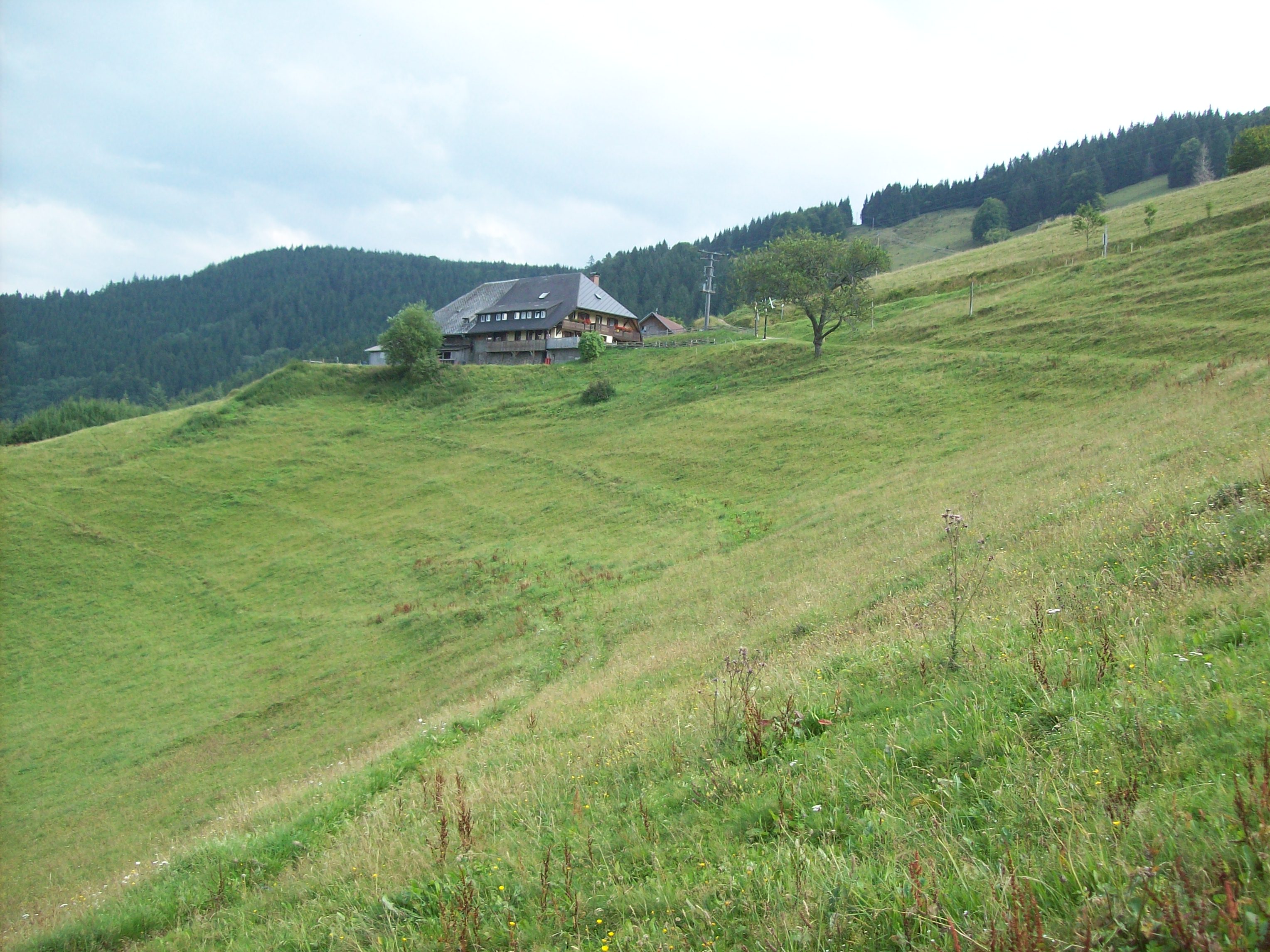 Bild 1 Berggasthaus Höfener Hütte - Anja Speck in Kirchzarten