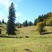 Berggasthaus zum Krunkelbach Werner Gaststätte in Bernau im Schwarzwald