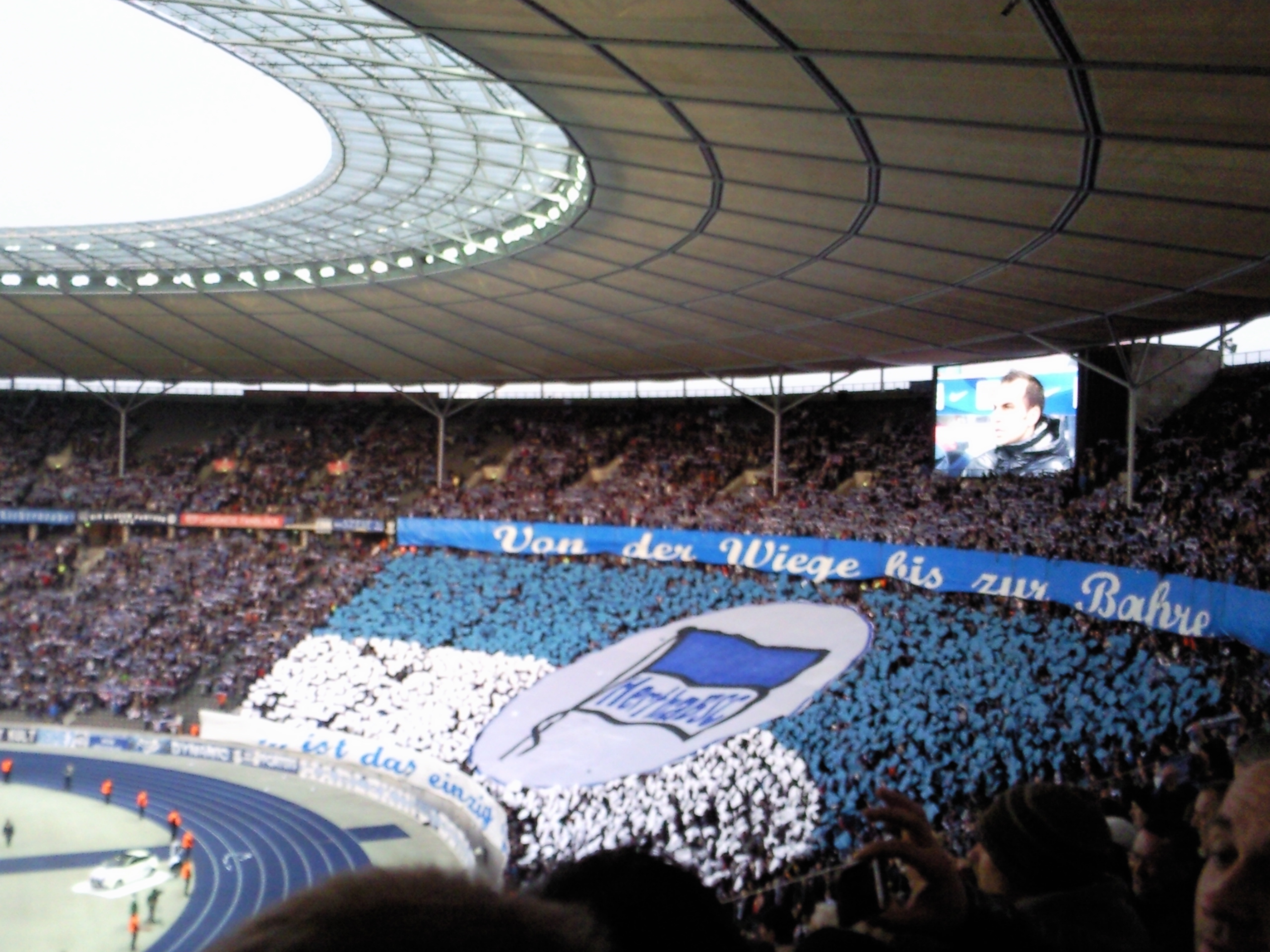 Hertha Fanblock